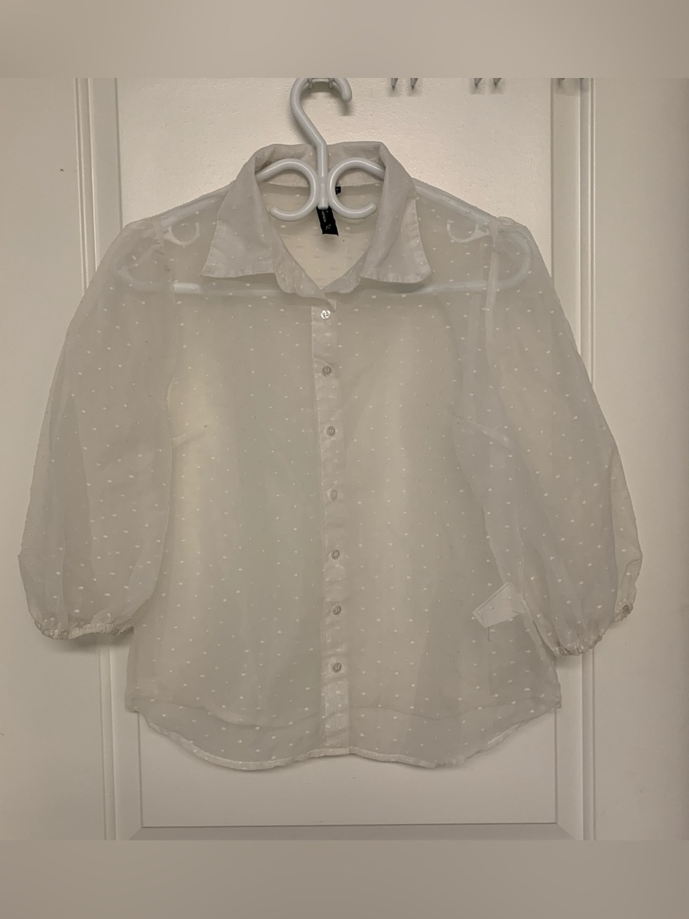 Influence Sheer White Blouse Small Puff Sleeve Embroidered Coquette Romantic
